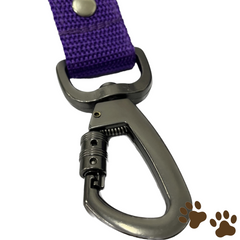 Correa de paseo Naranjo