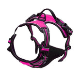 Arnes Journey Antitirones - Fucsia