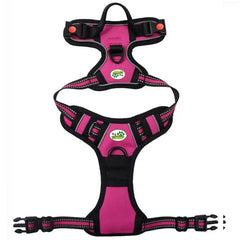 Arnes Journey Antitirones - Fucsia