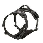Arnes Journey Antitirones - Negro