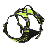Arnes Journey Antitirones - Verde