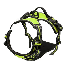 Arnes Journey Antitirones - Verde