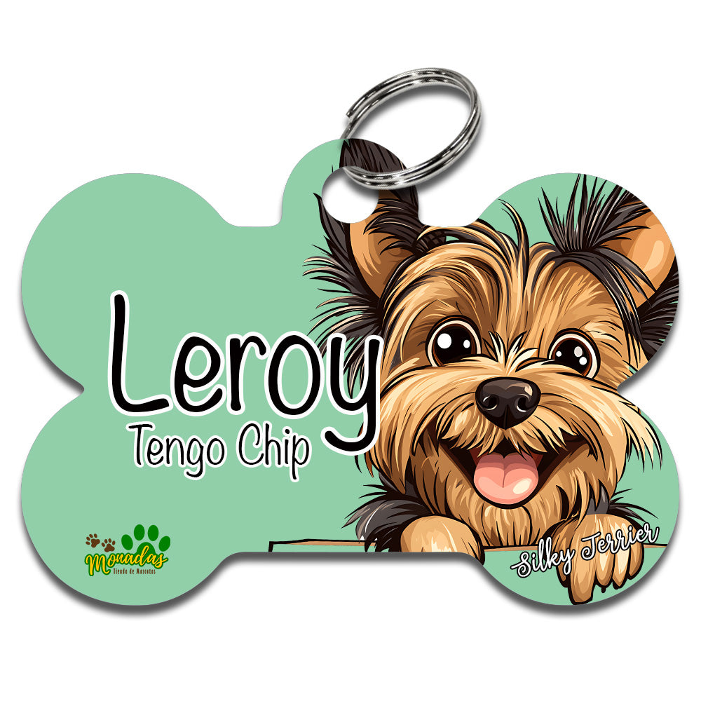 Silky Terrier