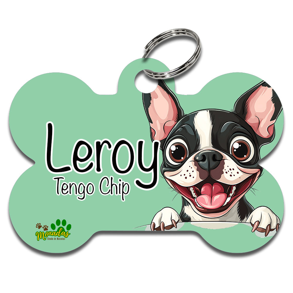 Boston Terrier