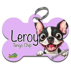 Boston Terrier