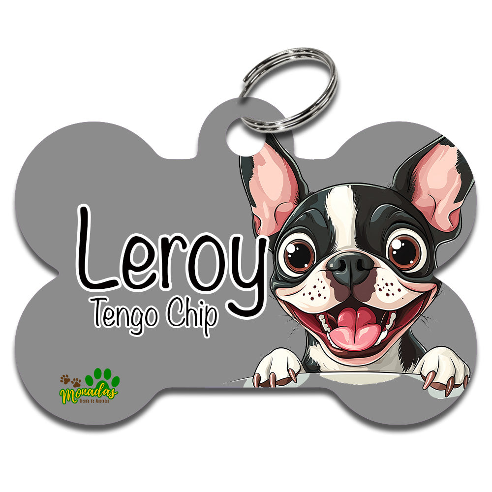 Boston Terrier