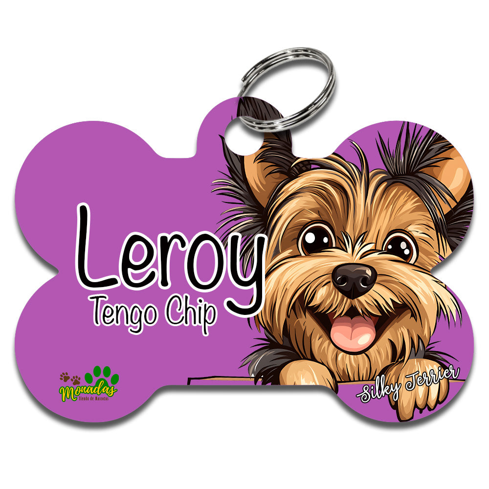 Silky Terrier