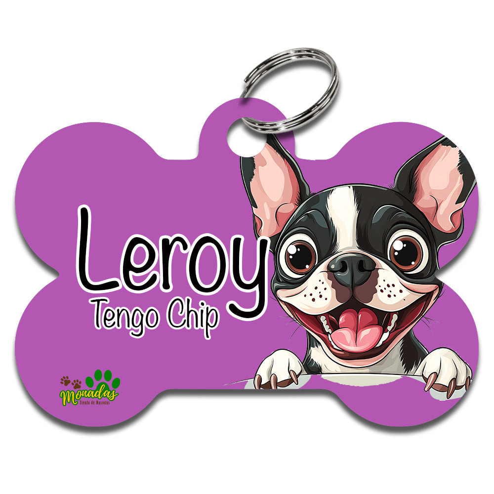 Boston Terrier