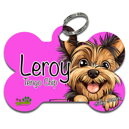 Silky Terrier