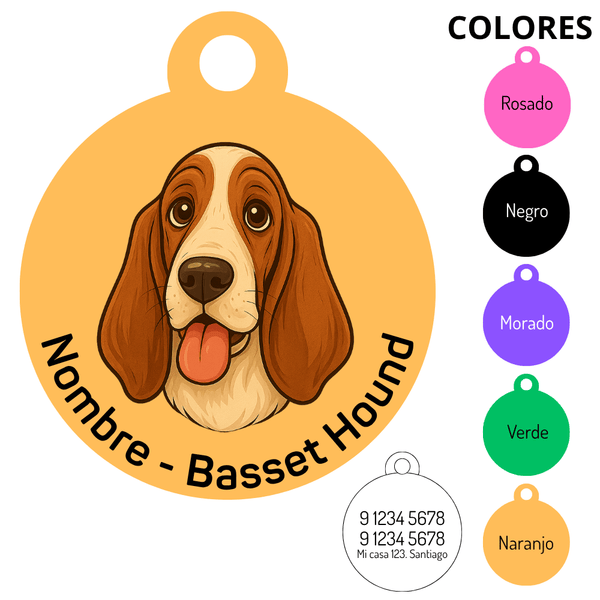Medalla Basset Hound 2