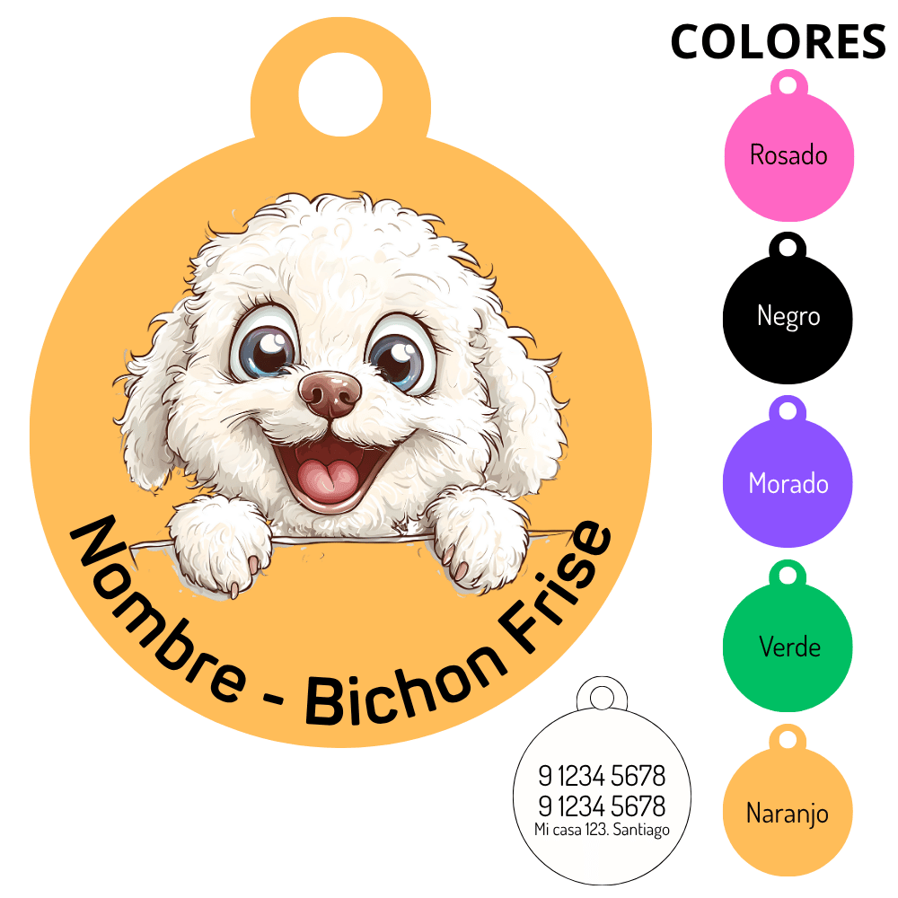 Medalla Bichon Frise