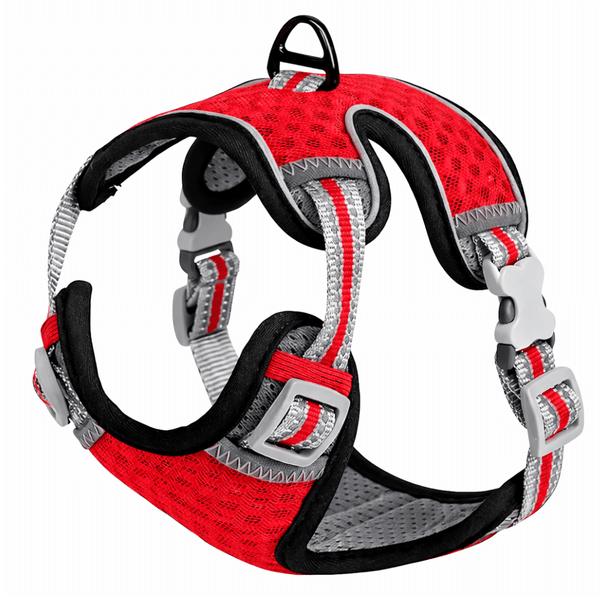 Arnes raza pequeña - Rojo