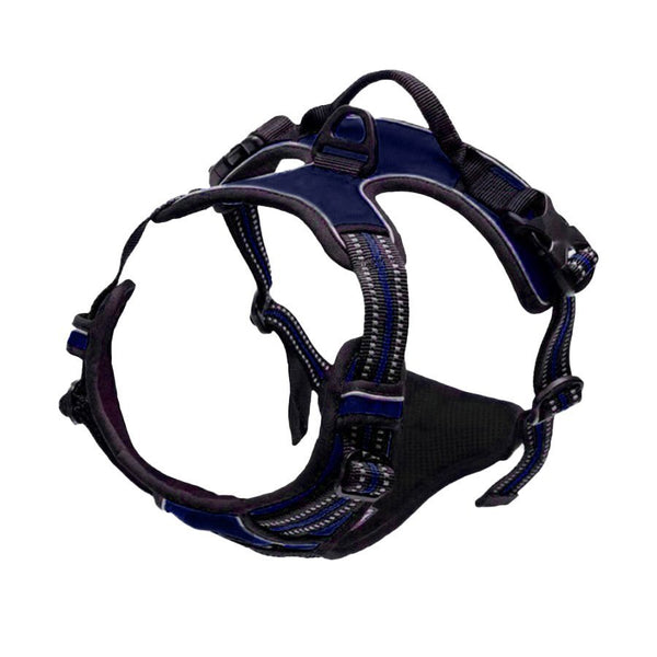 Arnes Journey Antitirones - Azul