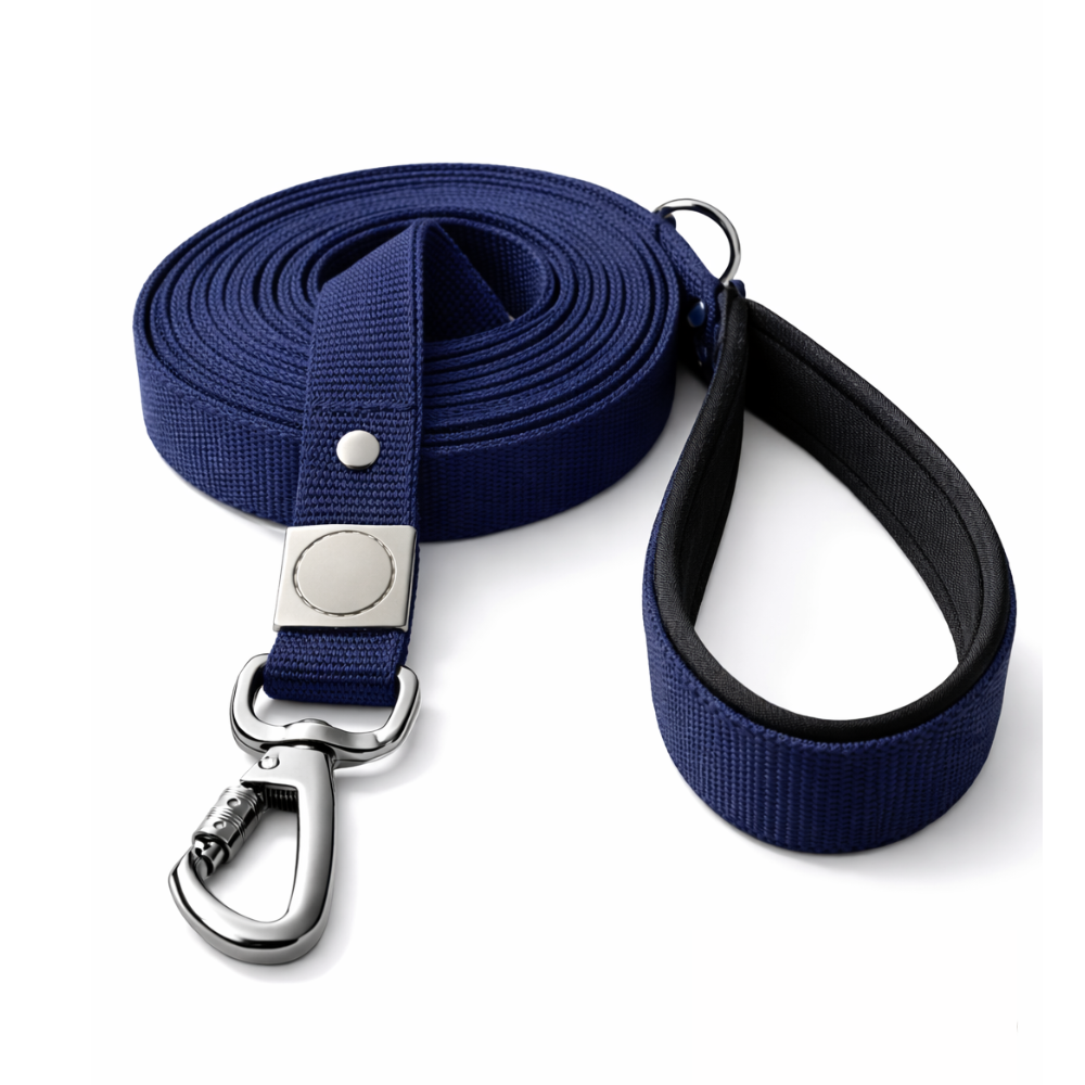 Correa de paseo Azul