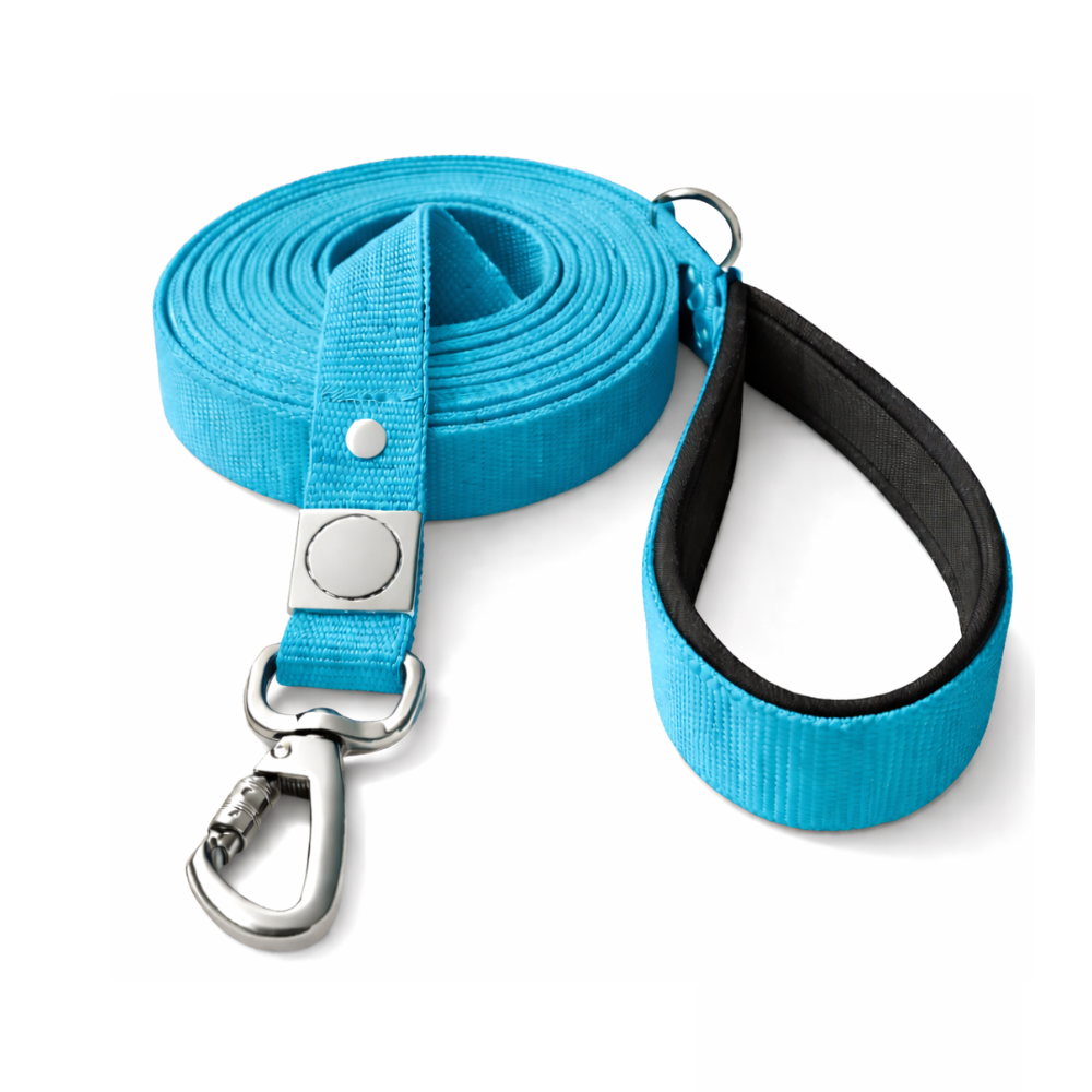 Correa de paseo Calipso