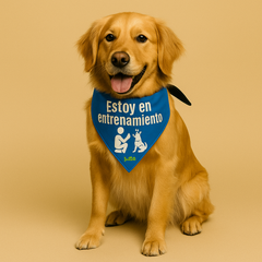 Bandana Dog Tag - "En Entrenamiento"