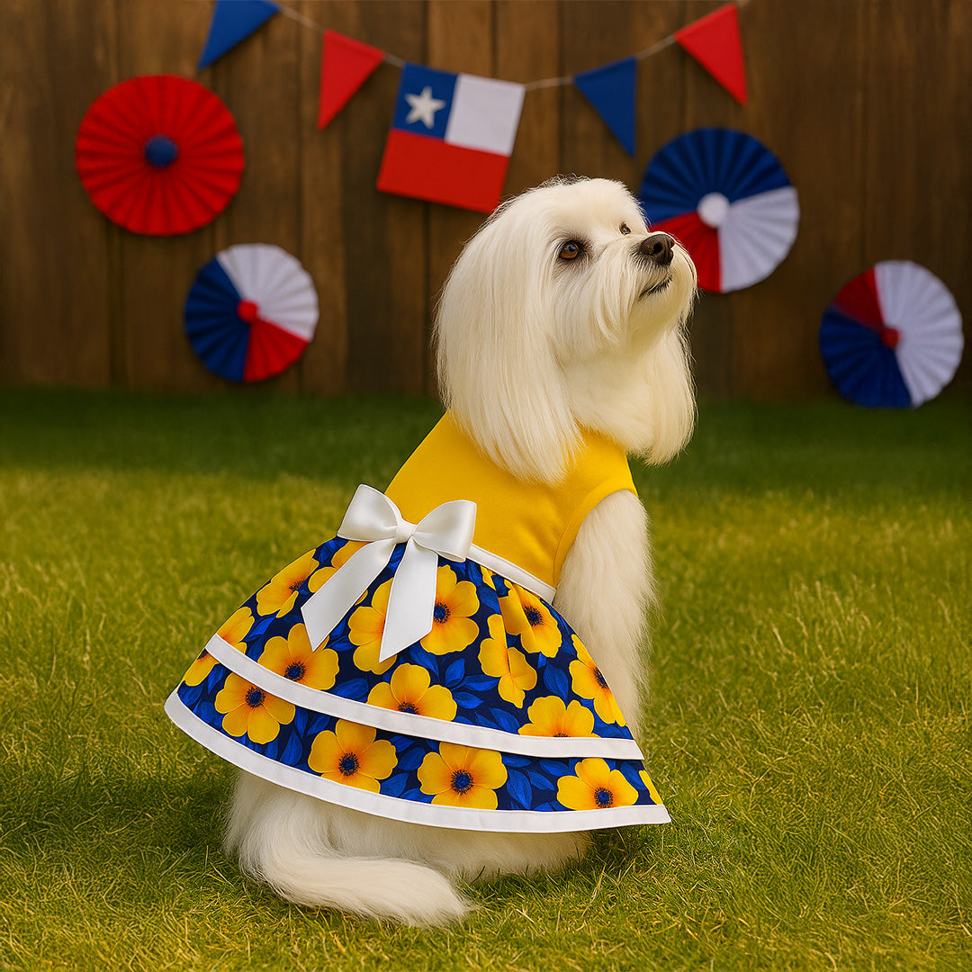 Vestido (2) fiestas Patrias