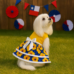 Vestido (2) fiestas Patrias