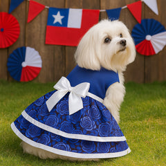 Vestido (8) fiestas Patrias