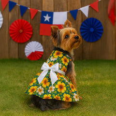 Vestido (4) fiestas Patrias