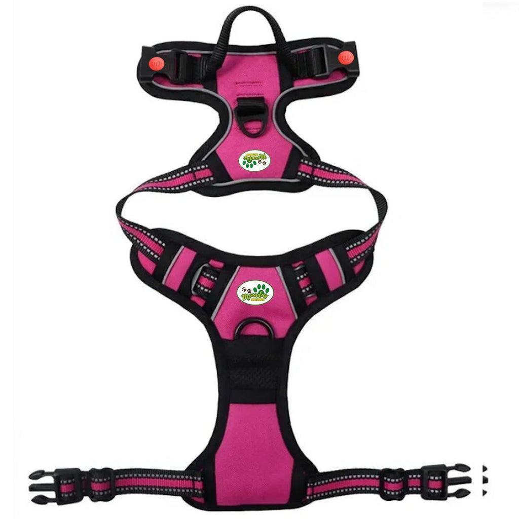 Arnes Journey Antitirones - Fucsia