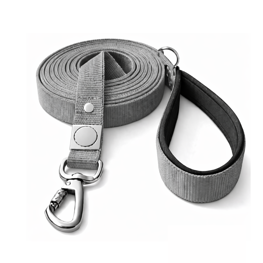Correa de paseo Gris