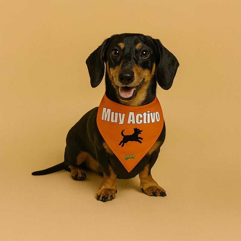 Bandana Dog Tag - "Muy Activo"