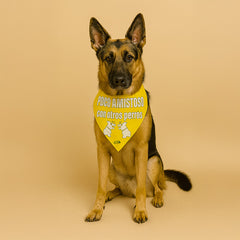 Bandana Dog Tag - "Poco amistoso con otros perros"