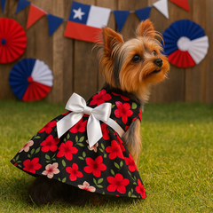 Vestido (1) fiestas Patrias