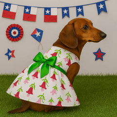 Vestido (9) fiestas Patrias