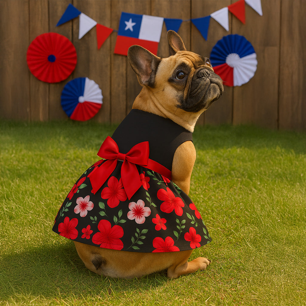 Vestido (6) fiestas Patrias