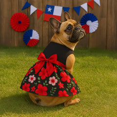 Vestido (6) fiestas Patrias