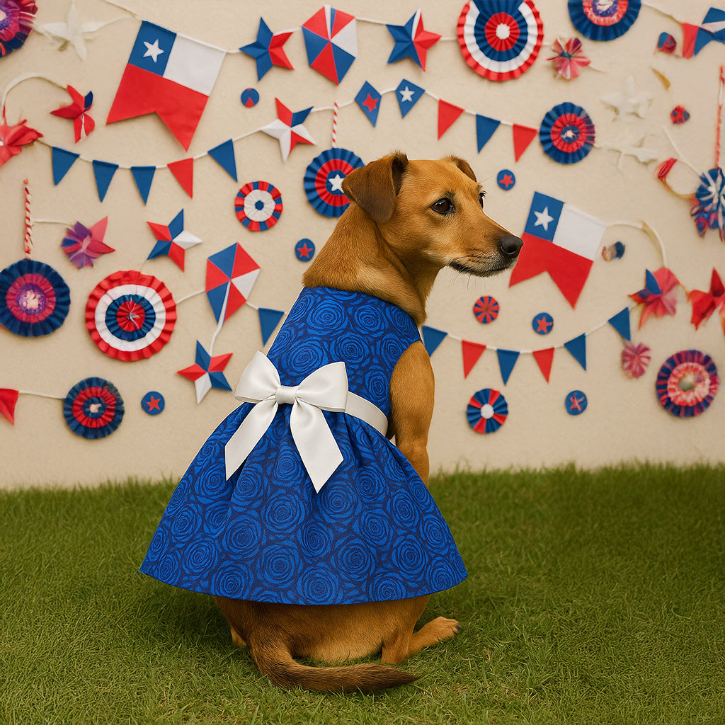 Vestido (3) fiestas Patrias