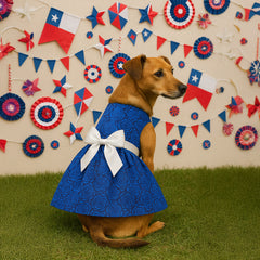 Vestido (3) fiestas Patrias