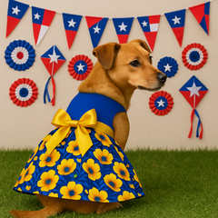 Vestido (7) fiestas Patrias