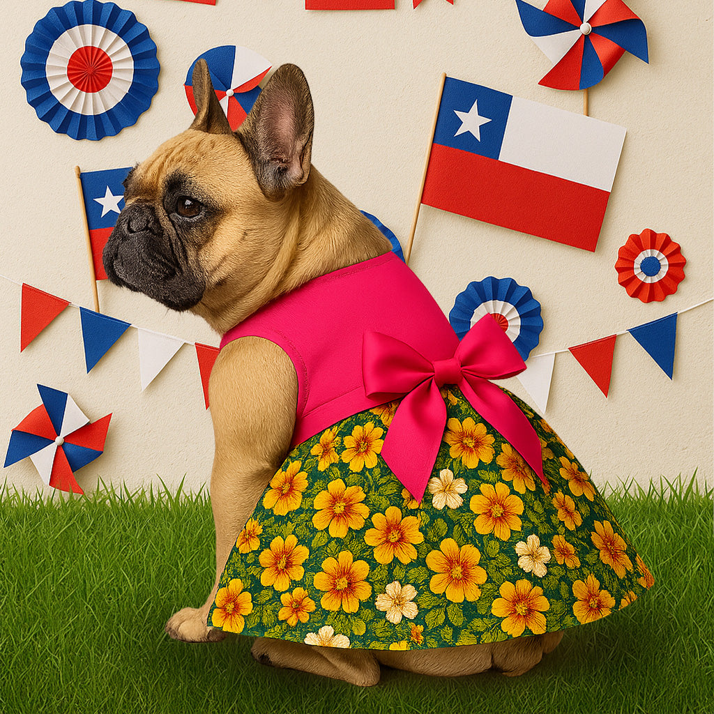 Vestido (10) fiestas Patrias