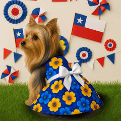 Vestido (5) fiestas Patrias