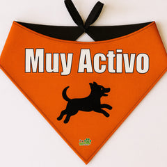 Bandana Dog Tag - "Muy Activo"