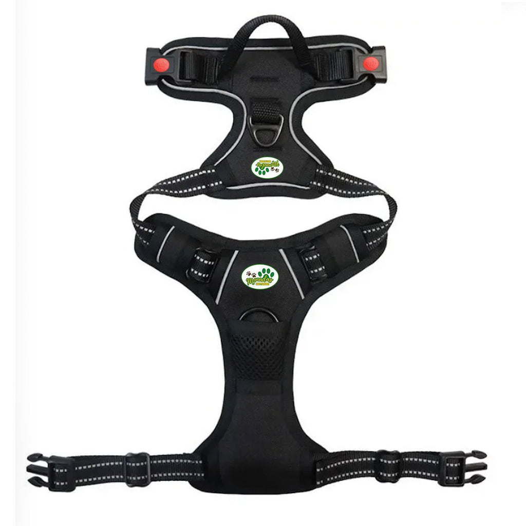 Arnes Journey Antitirones - Negro