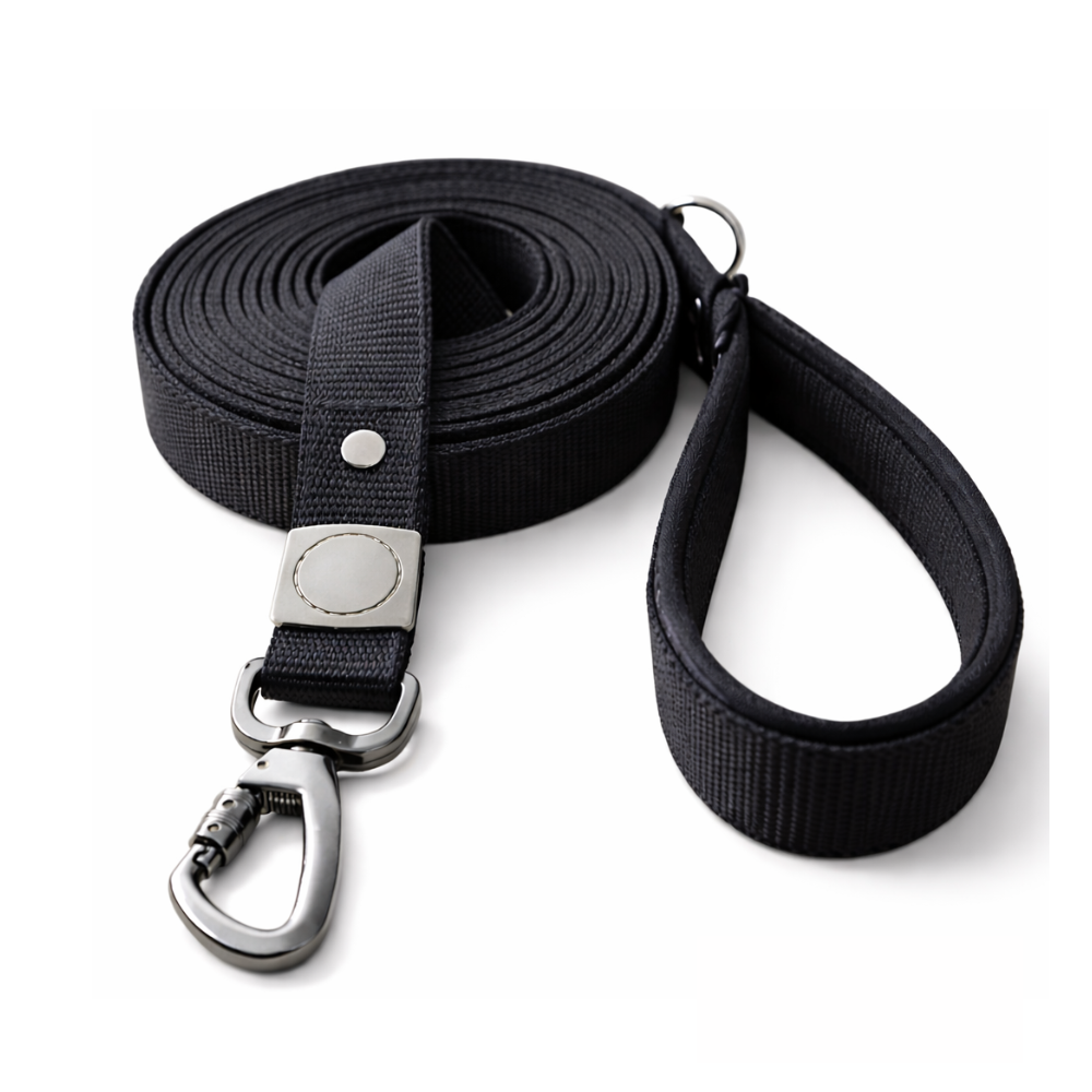 Correa de paseo Negro