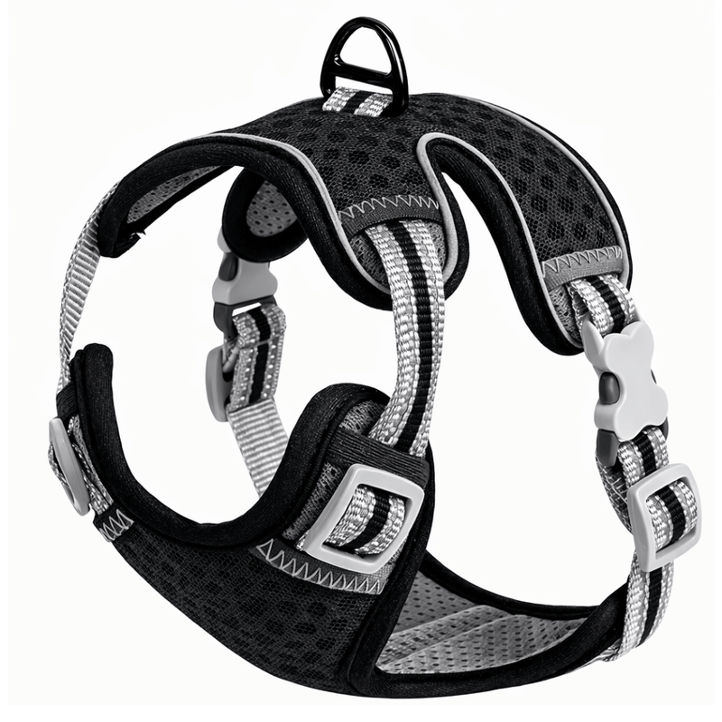 Arnes raza pequeña - Negro