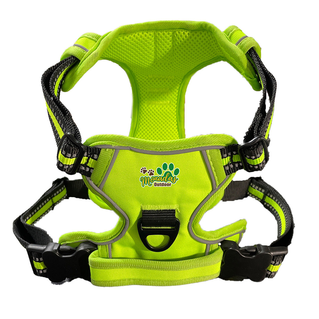 Arnes "Adventure" Antitirones – Verde Neon