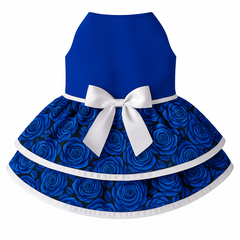Vestido (8) fiestas Patrias